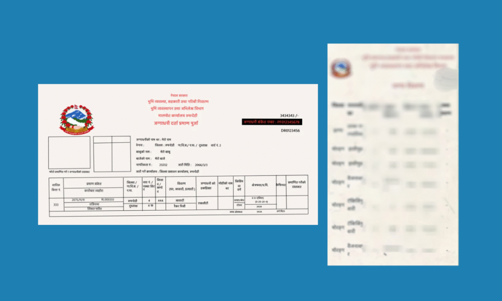 View Your Land Records