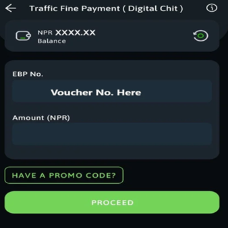 enter voucher details 