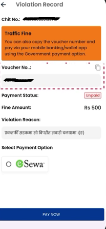 choose payment method 